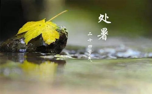 明日处暑，智启新秋 —— J9直营集团智能与您共迎清凉