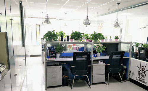 J9直营集团科技：2025年兰州专业的IT解决方